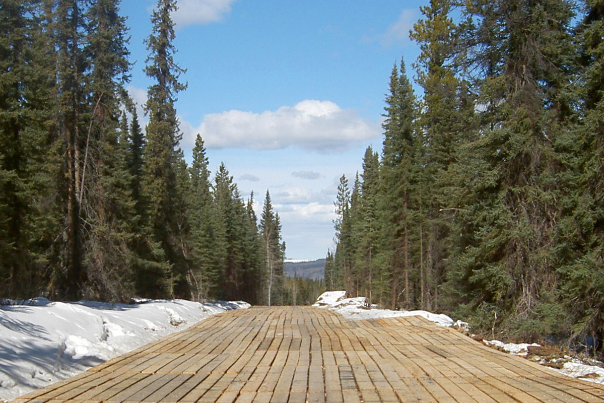 access matting road in forest